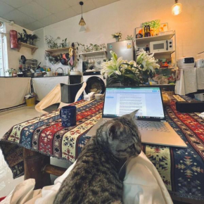 Nằm Mơ 1 Homestay - chi Nhánh Ngô Thì Sỹ